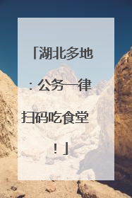 湖北多地:公务一律扫码吃食堂!