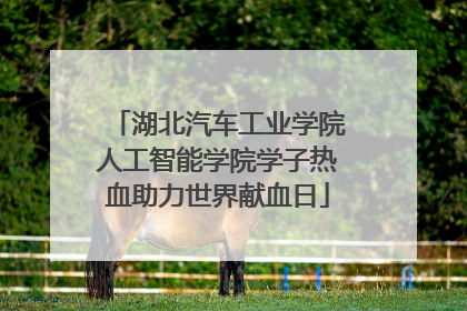 湖北汽车工业学院人工智能学院学子热血助力世界献血日