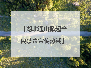 湖北通山掀起全民禁毒宣传热潮