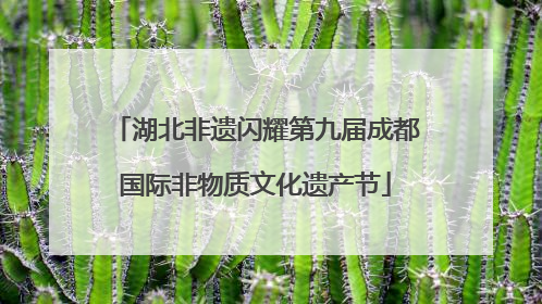 湖北非遗闪耀第九届成都国际非物质文化遗产节