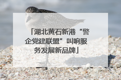 湖北黄石新港“警企党建联盟”叫响服务发展新品牌