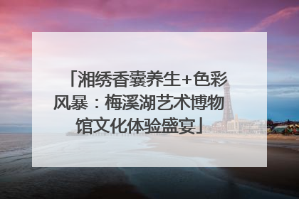 湘绣香囊养生+色彩风暴：梅溪湖艺术博物馆文化体验盛宴