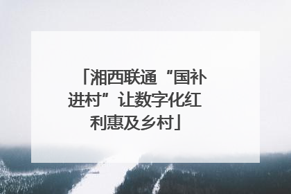 湘西联通“国补进村”让数字化红利惠及乡村