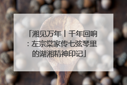 湘见万年丨千年回响：左宗棠家传七弦琴里的湖湘精神印记