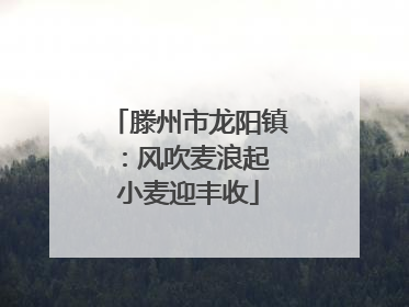 滕州市龙阳镇：风吹麦浪起 小麦迎丰收
