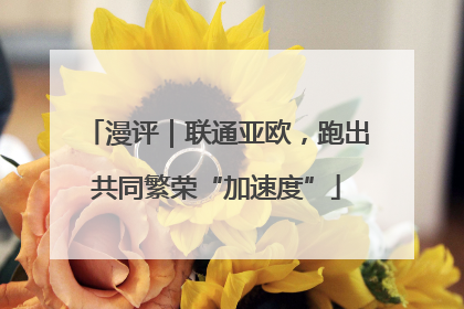 漫评｜联通亚欧，跑出共同繁荣“加速度”