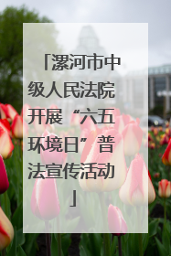 漯河市中级人民法院开展“六五环境日”普法宣传活动