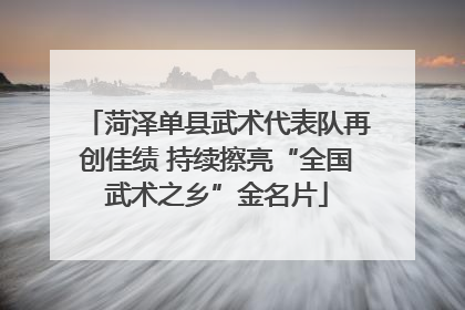 菏泽单县武术代表队再创佳绩 持续擦亮“全国武术之乡”金名片