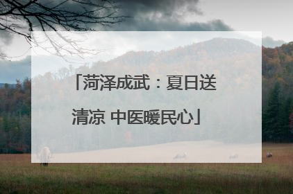 菏泽成武：夏日送清凉 中医暖民心