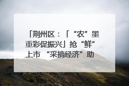 荆州区：「“农”墨重彩促振兴」抢“鲜”上市 “采摘经济”助农“甜蜜增收”