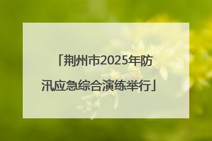 荆州市2025年防汛应急综合演练举行