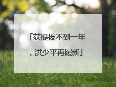 获提拔不到一年，洪少平再履新