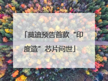 莫迪预告首款“印度造”芯片问世