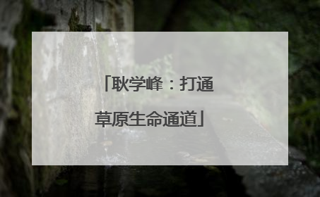 耿学峰：打通草原生命通道