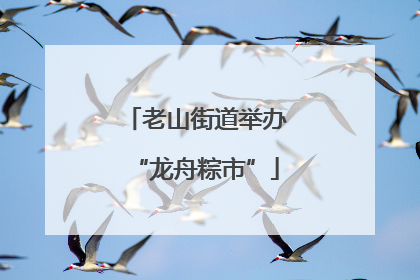 老山街道举办“龙舟粽市”