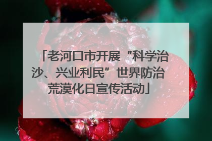 老河口市开展“科学治沙、兴业利民”世界防治荒漠化日宣传活动