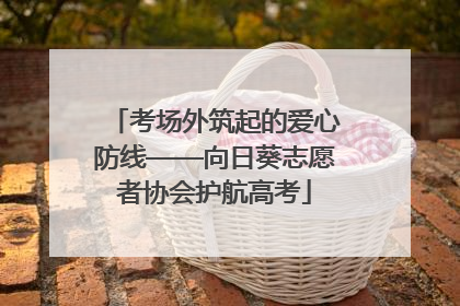 考场外筑起的爱心防线——向日葵志愿者协会护航高考