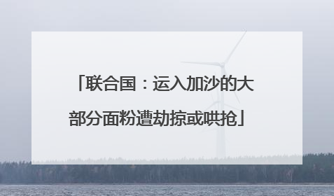 联合国：运入加沙的大部分面粉遭劫掠或哄抢
