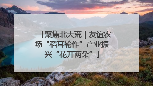 聚焦北大荒｜友谊农场“稻耳轮作”产业振兴“花开两朵”