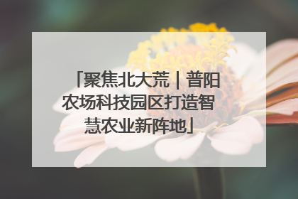 聚焦北大荒｜普阳农场科技园区打造智慧农业新阵地