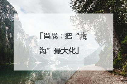 肖战：把“藏海”最大化