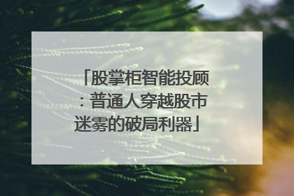 股掌柜智能投顾：普通人穿越股市迷雾的破局利器