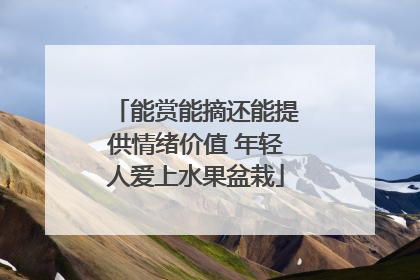 能赏能摘还能提供情绪价值 年轻人爱上水果盆栽