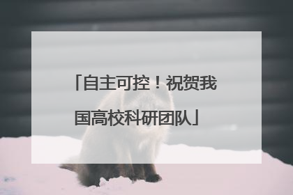 自主可控！祝贺我国高校科研团队