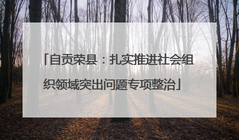 自贡荣县：扎实推进社会组织领域突出问题专项整治