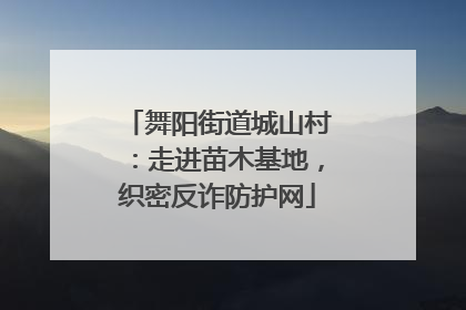 舞阳街道城山村：走进苗木基地，织密反诈防护网