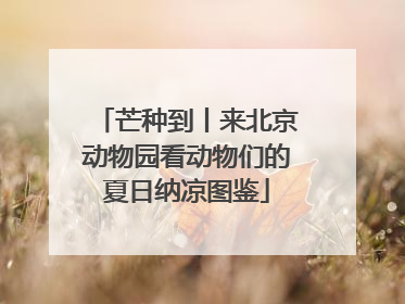 芒种到丨来北京动物园看动物们的夏日纳凉图鉴