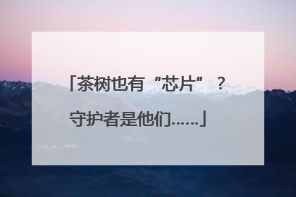 茶树也有“芯片”？守护者是他们……