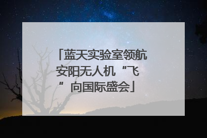 蓝天实验室领航 安阳无人机“飞”向国际盛会