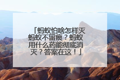 蚂蚁怕啥怎样灭蚂蚁不留痕？蚂蚁用什么药能彻底消灭？答案在这！