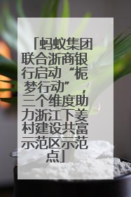 蚂蚁集团联合浙商银行启动“栀梦行动”，三个维度助力浙江下姜村建设共富示范区示范点