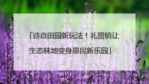 诗意田园新玩法！礼贤镇让生态林地变身惠民新乐园