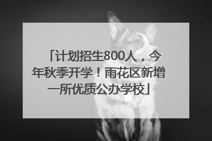 计划招生800人，今年秋季开学！雨花区新增一所优质公办学校
