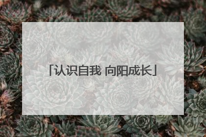 认识自我 向阳成长