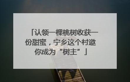 认领一棵桃树收获一份甜蜜，宁乡这个村邀你成为“树主”