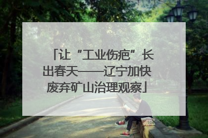 让“工业伤疤”长出春天——辽宁加快废弃矿山治理观察