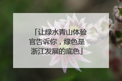 让绿水青山体验官告诉你，绿色是浙江发展的底色