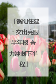 衡阳住建：交出亮眼半年报 奋力冲刺下半程