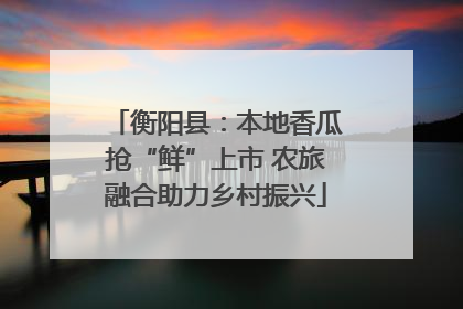 衡阳县：本地香瓜抢“鲜”上市 农旅融合助力乡村振兴