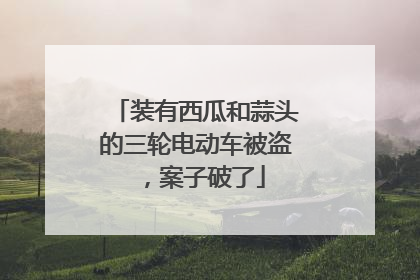 装有西瓜和蒜头的三轮电动车被盗，案子破了