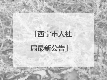 西宁市人社局最新公告