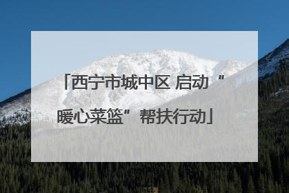 西宁市城中区 启动“暖心菜篮”帮扶行动