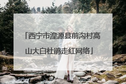 西宁市湟源县前沟村高山大白杜鹃走红网络