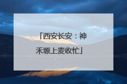 西安长安：神禾塬上麦收忙