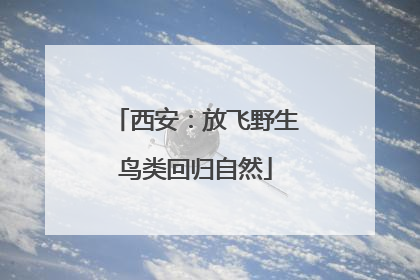 西安：放飞野生鸟类回归自然