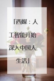 西媒：人工智能开始深入中国人生活